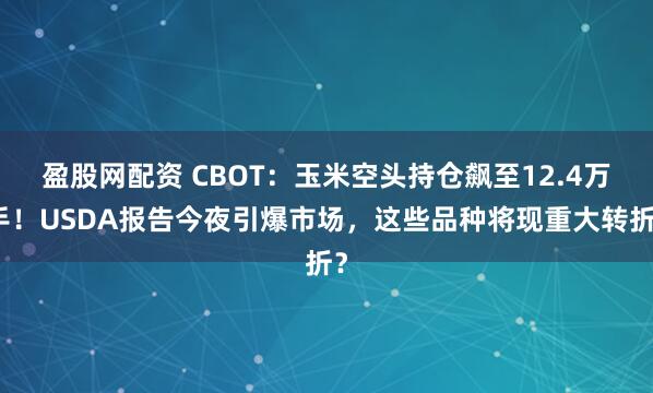 盈股网配资 CBOT：玉米空头持仓飙至12.4万手！USDA报告今夜引爆市场，这些品种将现重大转折？